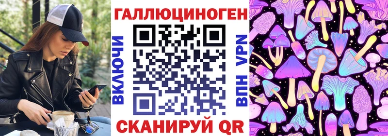 shop клад Челябинск Галлюциногенные грибы Psilocybe